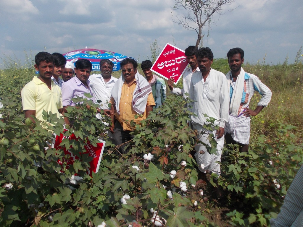 Going organic possible with timely rains